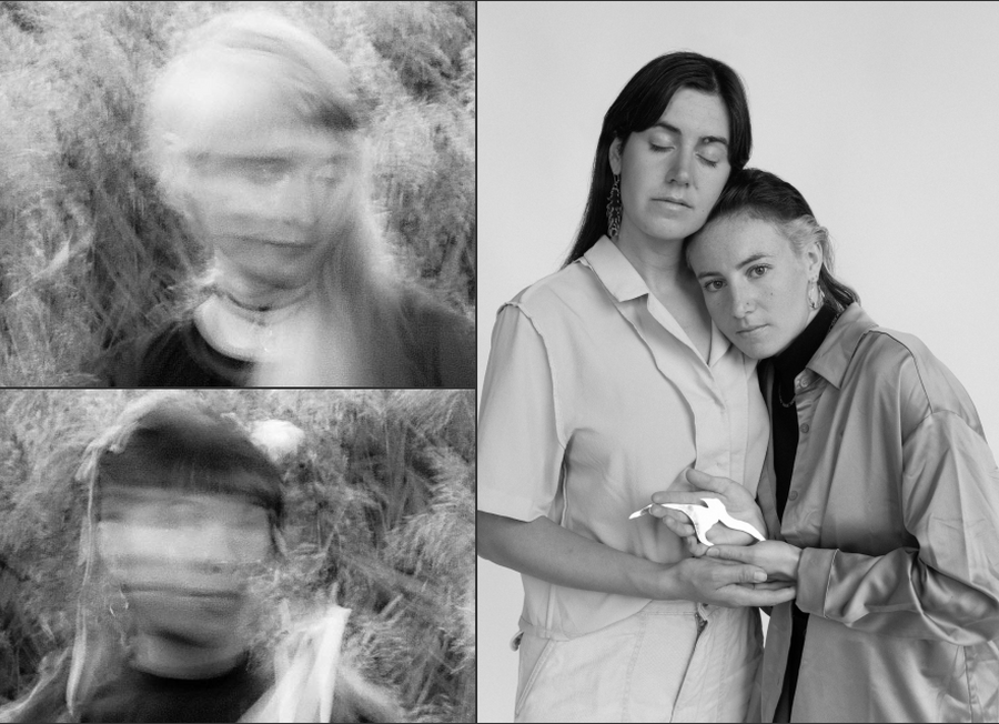 Echönymphia le désert mauve